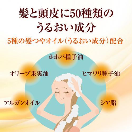 50の恵 髪と頭皮の養潤シャンプー ( 400ml×2セット )/ : 爽快ドラッグ