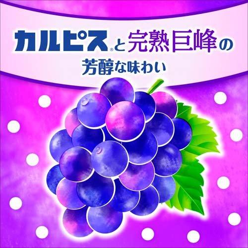 カルピス 完熟巨峰 希釈用 ( 470ml×3セット )/ 原液 希釈 ) : 爽快