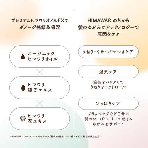 ディアボーテ リッチ＆リペア オイルイン シャンプー 詰め替え 大容量