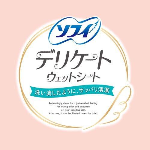 ソフィ デリケートウェット せっけんの香り ウェットティッシュ ( 10枚