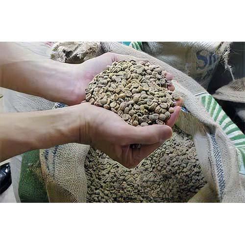 益子珈琲 アララ 豆 ( 180g×3セット )/ コーヒー 自社農園 シングル