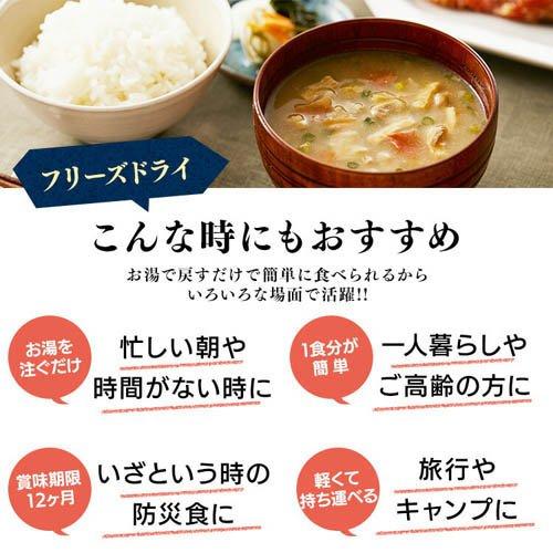 味噌汁 フリーズドライ 豚汁 みそ汁 5食 インスタント ( 5食入×5セット