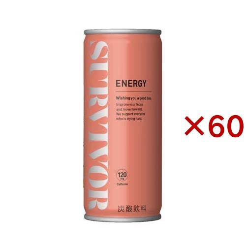 サバイバー エナジードリンク 缶 ( 30本入×2セット(1本250ml) )/ 富永