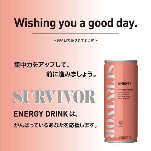 サバイバー エナジードリンク 缶 ( 30本入×2セット(1本250ml) )/ 富永