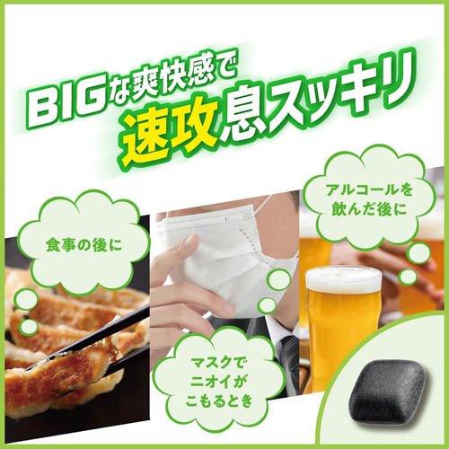 クロレッツ炭フレッシュ レモンミント ボトル ( 112g×6セット