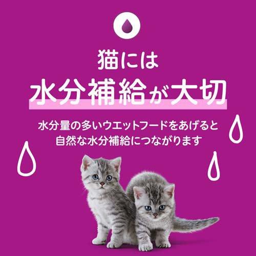 カルカン パウチ 12ヵ月まで子ねこ お魚ミックス まぐろかつお白身