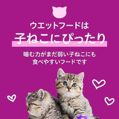 カルカン パウチ 12ヵ月まで子ねこ やわらかチキン キャットフード