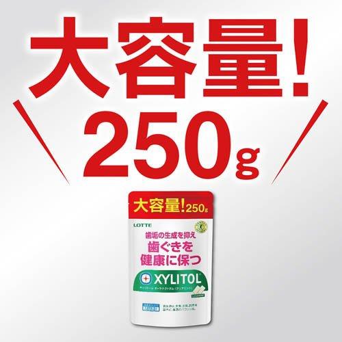 キシリトール オーラテクトガム クリアミント 大容量パウチ ( 250g×2