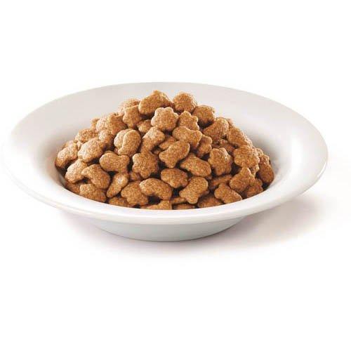 モンプチ バッグ ドライ 15歳 5種のブレンド ( 600g×12セット