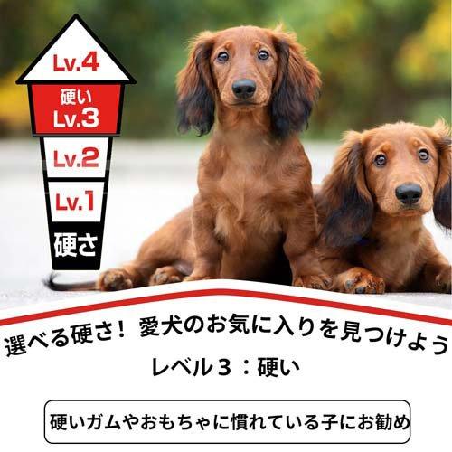 ディンゴ オリジナルチキン ミニ ( 10本入×24セット )/ Tetra(テトラ) |  | 04