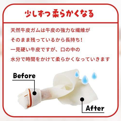 ディンゴ オリジナルチキン ミニ ( 10本入×24セット )/ Tetra(テトラ) |  | 05