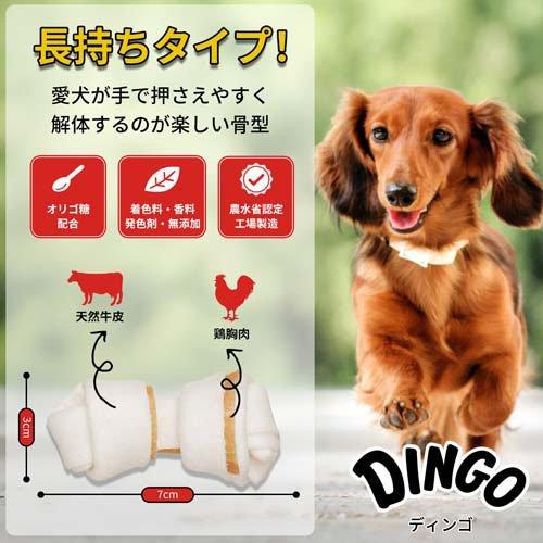 ディンゴ オリジナルチキン ミニ ( 10本入×12セット )/ Tetra(テトラ