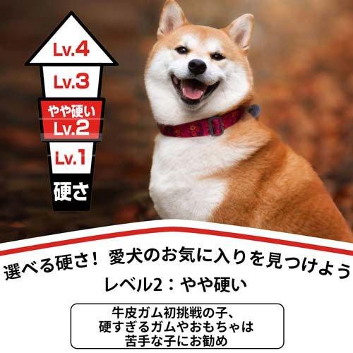 ディンゴ チキンツイスト ( 15本入×6セット )/ Tetra(テトラ) : 爽快