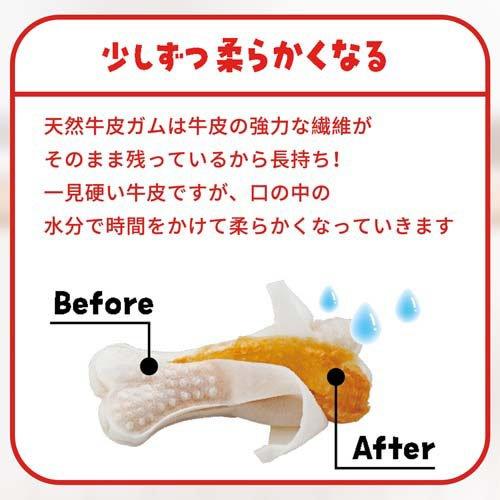 ディンゴ チキンボーン ストロング M ( 8本入×4セット )/ Tetra(テトラ