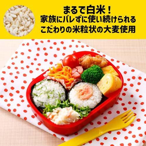 骨太家族 個包装 ( 10袋入×4セット(1袋10g) ) : 爽快ドラッグ - 通販