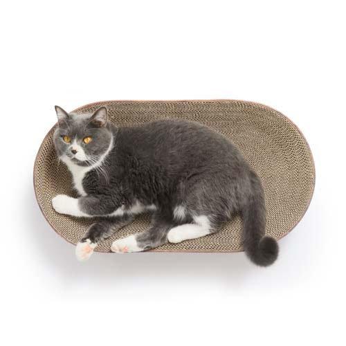 バリバリボウルXL オーバル ダークブラウン ( 2セット )/ 猫壱 : 爽快