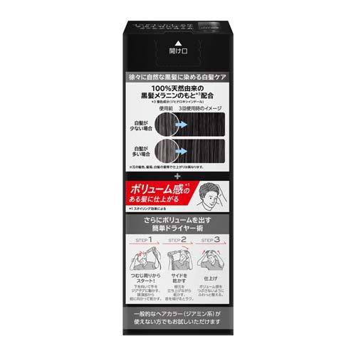 サクセスブラックふんわり仕上がるカラートリートメント本体 ( 155g×2