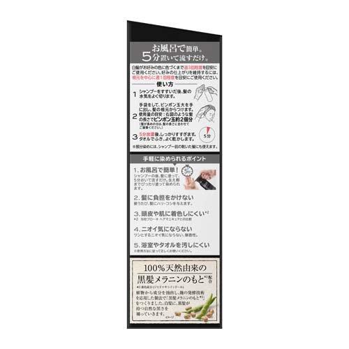 サクセスブラックふんわり仕上がるカラートリートメント本体 ( 155g×2