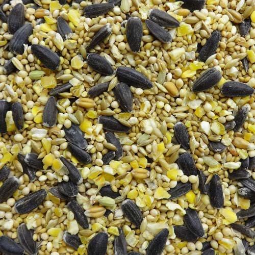 エクセル 野鳥のまき餌 小型 ( 1.6kg×6セット ) : 爽快ドラッグ - 通販