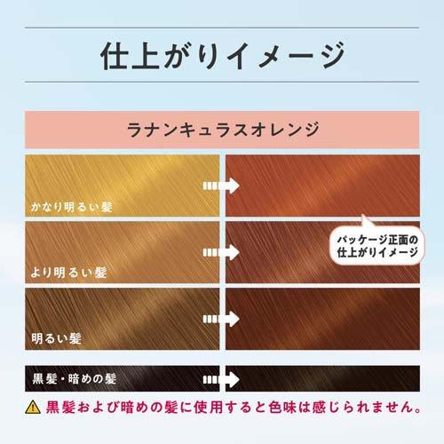 リーゼ ブリーチオンカラー ラナンキュラスオレンジ ( 108ml×2セット
