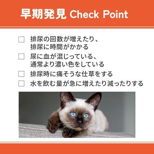 ベッツウェル 猫用食事療法食 下部尿路ケア 低脂肪 ( 500g×6セット