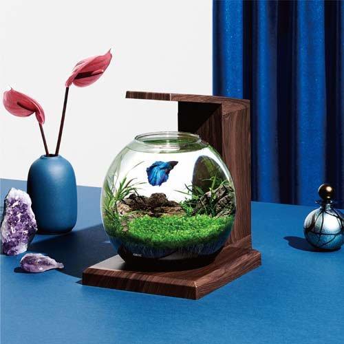 グラスアクア PERCO B-Dark Wood ( 2セット )_1