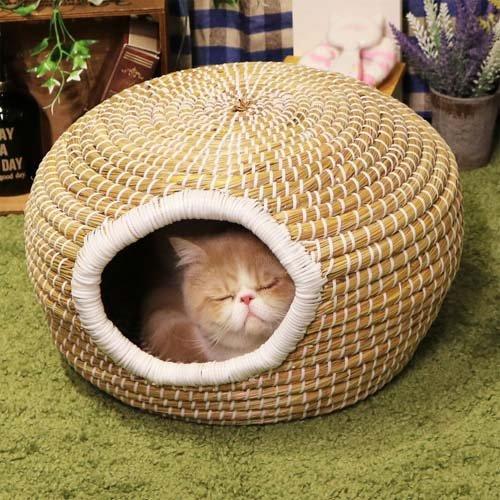 にゃんこのちぐらシリーズ まーるいつぼ 夢 ( 4セット ) : 爽快