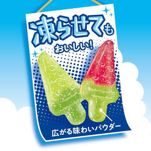 スイカ＆メロンバーグミ ( 73g×20セット ) : 爽快ドラッグ - 通販