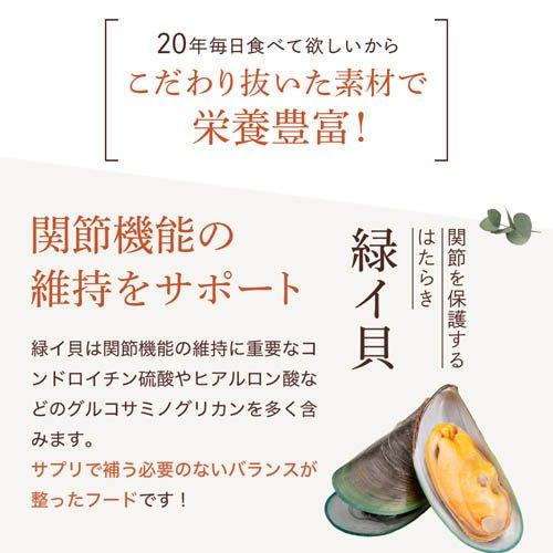 ミシュワン 成犬ドッグフード 国産鶏肉＆馬肉 ( 50g×50セット