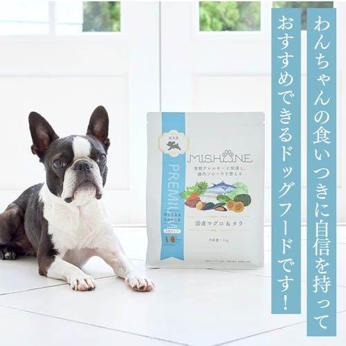 ミシュワン 成犬ドッグフード マグロ＆たら ( 50g×50セット )/ : 爽快