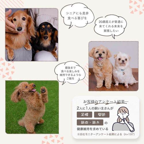 ミシュワン シニアドッグフード 国産鶏肉＆馬肉 ( 1kg×2セット