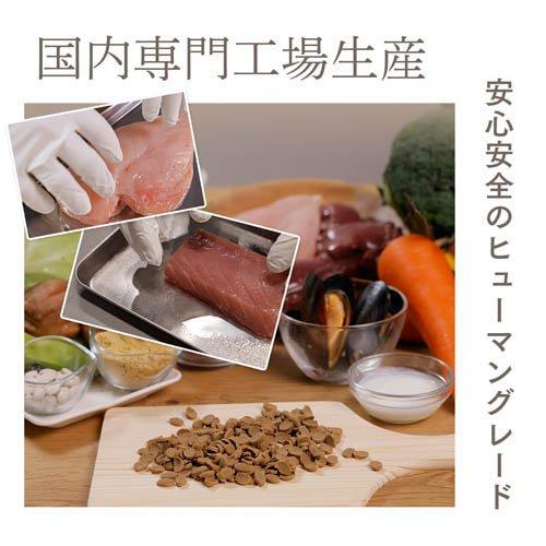ミシュワン シニアドッグフード 国産鶏肉＆馬肉 ( 1kg×2セット