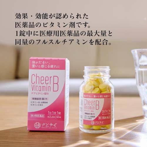 第3類医薬品)チアビタミン錠B ( 60錠×2セット ) : 爽快ドラッグ - 通販