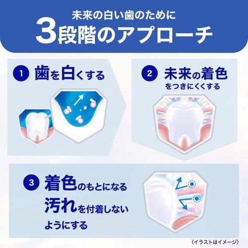シュミテクト フューチャー ホワイトケア マイルドミント ( 80g×3