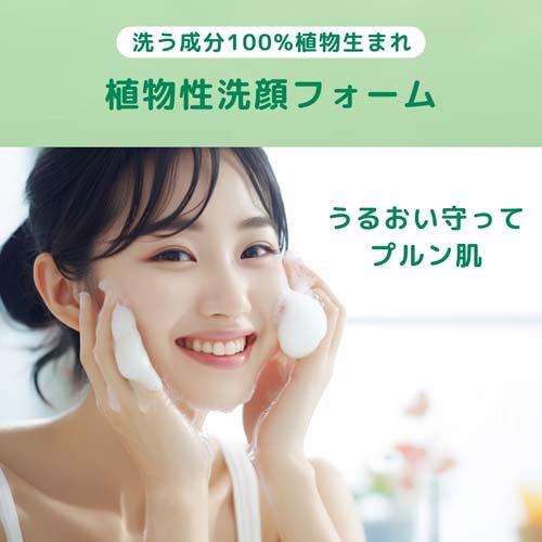 ナイーブ 洗顔フォーム(毛穴クリア) ( 120g×36セット )/ : 爽快