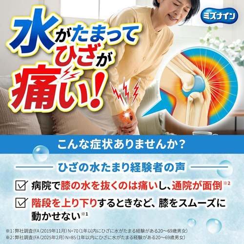 ミスナイン　3点セット 第2類医薬品)ミズナイン ( 60錠×2セット(セルフメディケーション税制
