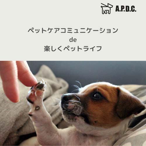 A.P.D.C.ボリュームアップコンディショナー ( 2L×2セット )/ A.P.D.C.の画像