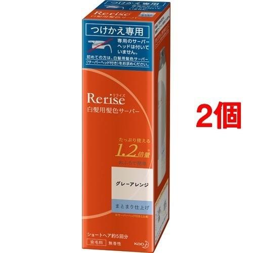 リライズ 白髪用髪色サーバー グレーアレンジ まとまり仕上げ つけかえ専用 190g 2個セット リライズ 白髪隠し Prettyfunnyballoons Com