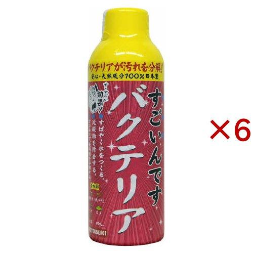 ［大人気商品］高濃度バクテリアリキッド1L ×5本　 ホログラムステッカー付 すごいんです バクテリア ( 150ml×6セット ) : 爽快ドラッグ - 通販