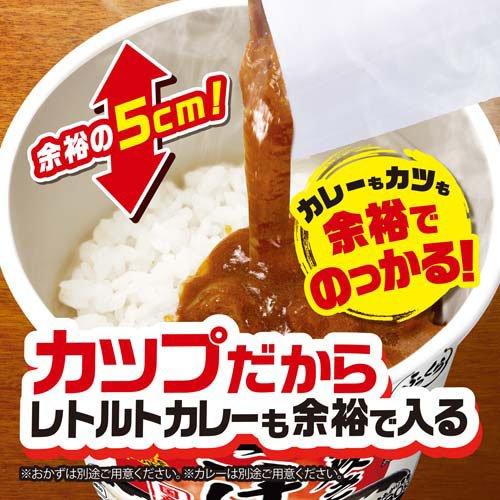 レトルト食品 インスタントご飯 詰め合わせセット 日清 ふっくら釜炊き ごはん ケース ( 6食入×2セット(1食72g) )/ 日清
