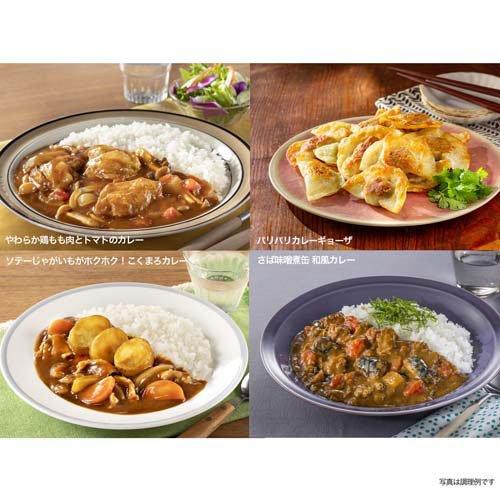こくまろカレー　中辛　1ケース60個　一箱　イベントや業務用に こくまろカレー 中辛 ( 145g×4セット )/ こくまろシリーズ : 爽快