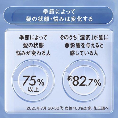 THE ANSWER シーズナルケア スーパーラメラシャンプー SS つめかえ用