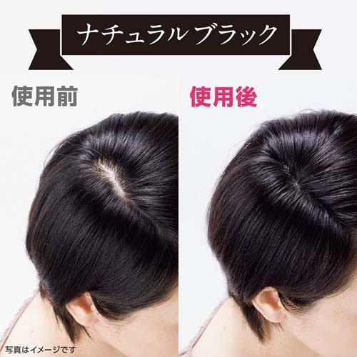 ★40%off★パウダーレーベル ヘアファンデーション 白髪染め ブラック 7点 パウダーレーベル ヘアファンデーション 白髪隠しパウダー ナチュラル