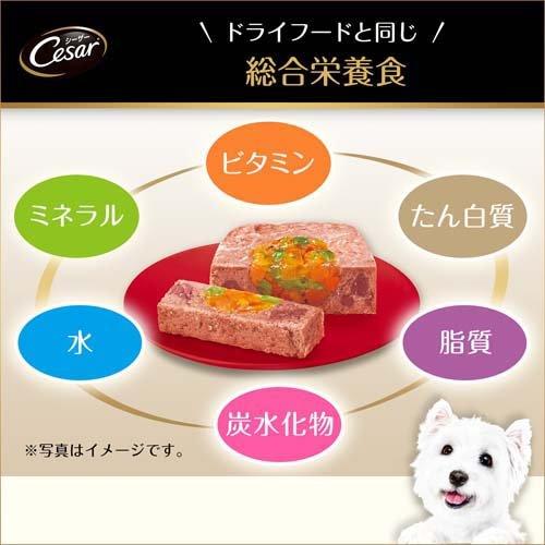 新品未開封　Cesar シーザー　まぐろ味ビーフ48缶セット シーザー 成犬用 おいしいまぐろ味 ささみ・野菜入り ドッグフード
