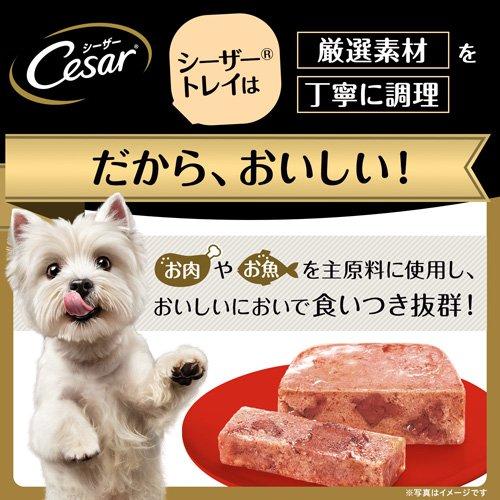シーザー シニア用 １４歳からの吟選ビーフ ささみ入り ドッグフード ウエット ( 100g*6個セット )/ シーザー(ドッグフード)(Cesar) |  | 01