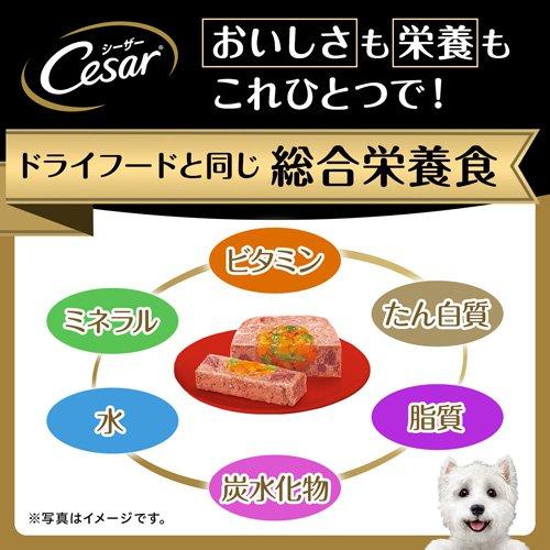 シーザー シニア用 １４歳からの吟選ビーフ ささみ入り ドッグフード ウエット ( 100g*6個セット )/ シーザー(ドッグフード)(Cesar) |  | 03