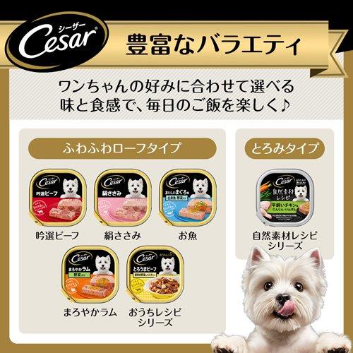 シーザー シニア用 １４歳からの吟選ビーフ ささみ入り ドッグフード ウエット ( 100g*6個セット )/ シーザー(ドッグフード)(Cesar) |  | 07