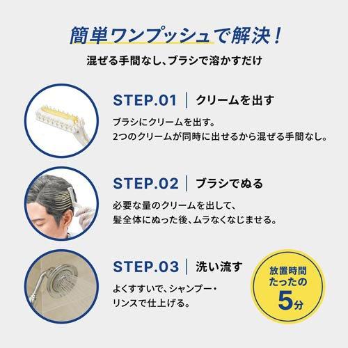 メンズビゲン グレーヘア ナチュラルグレー ( 2セット )/ : 爽快