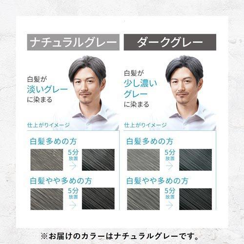 メンズビゲン グレーヘア ナチュラルグレー ( 2セット )/ : 爽快