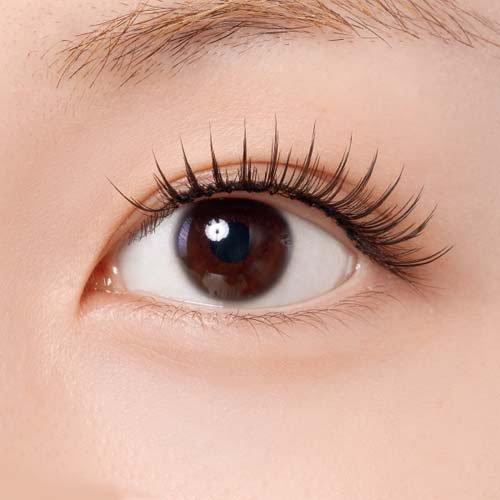 WOSADOソフトマグネット式つけまつげ 水光ブラック ( 1セット ) : 爽快